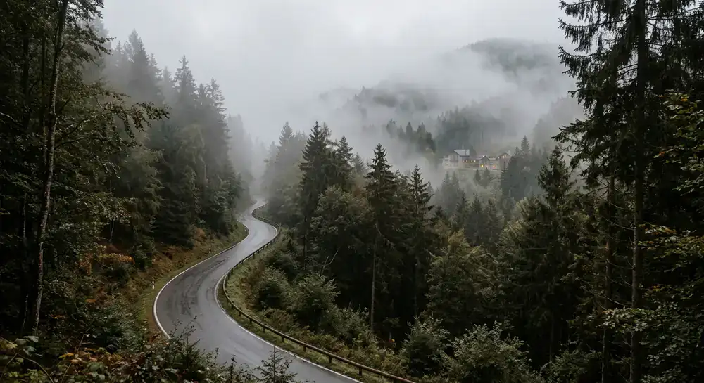 Mist rolling over a winding forest road leading to the retreat