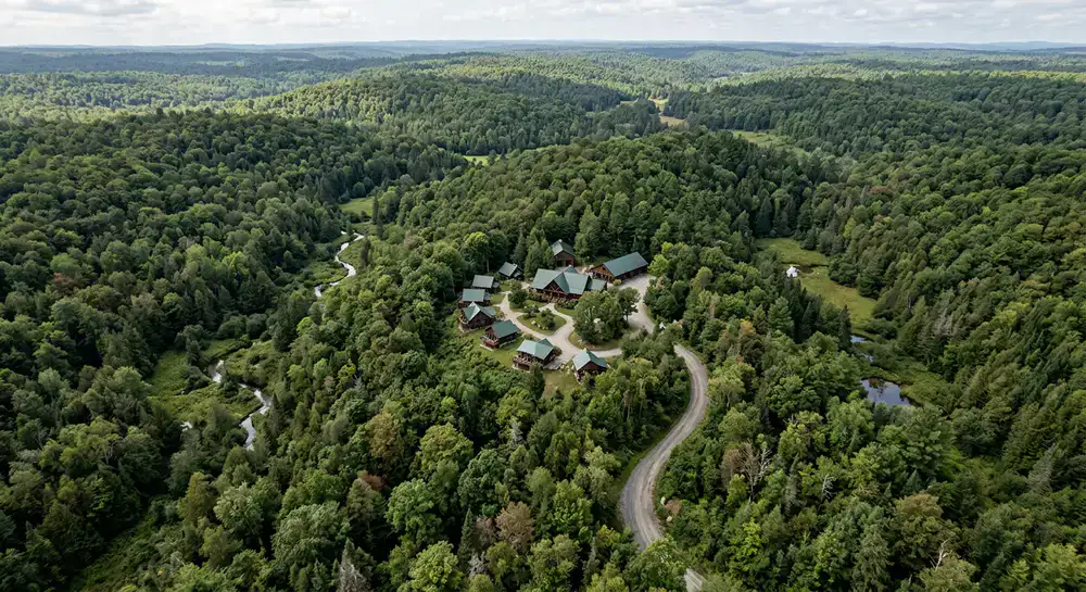 Aerial view of the lush forest surrounding the retreat